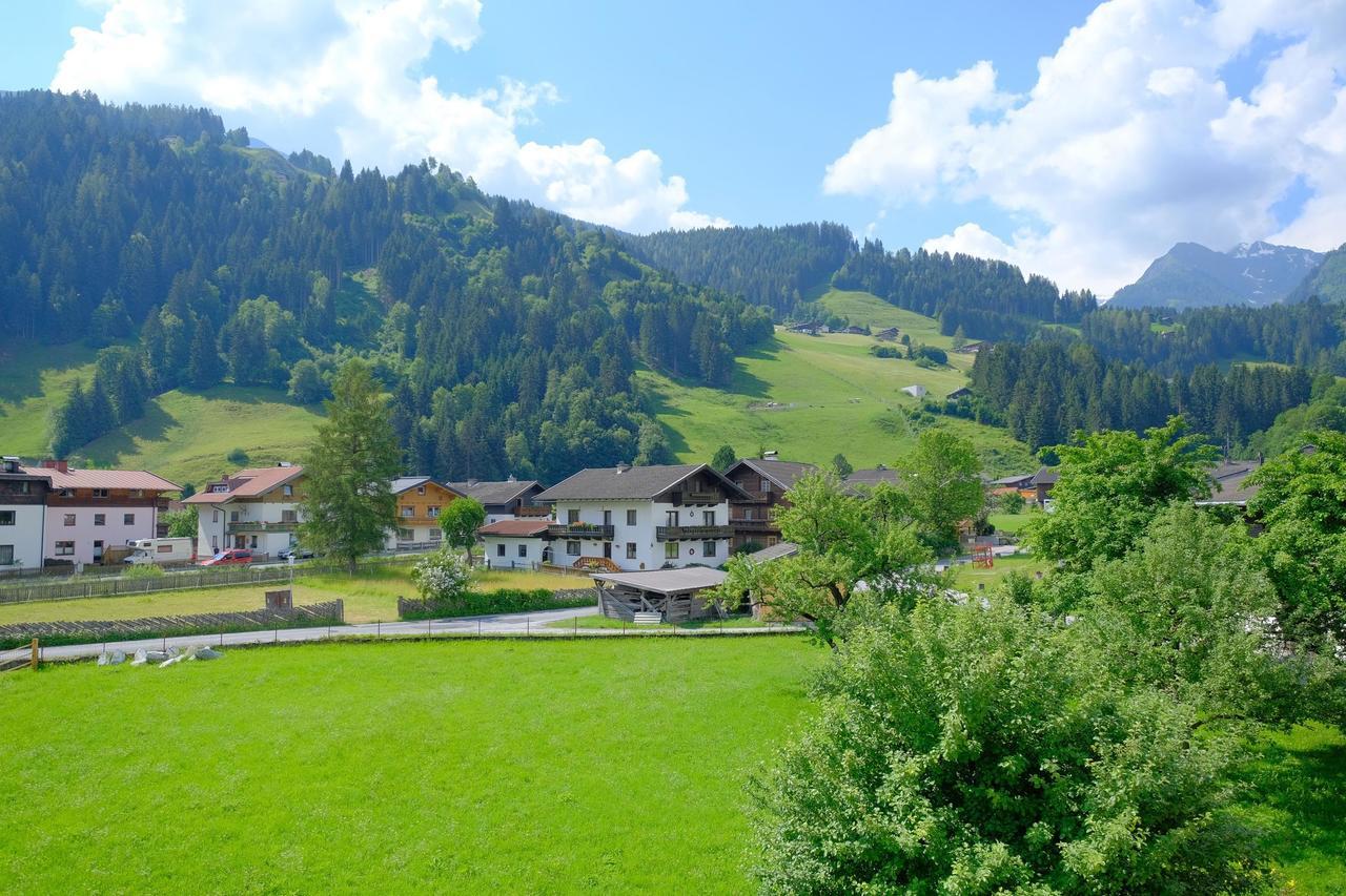 Alpin Penthouse Hollersbach Lägenhet Hollersbach im Pinzgau Exteriör bild